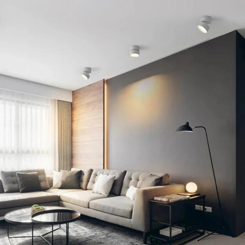 Verstellbare moderne LED-Deckenleuchte mit drehbarem Kopf in minimalistischem Aluminiumdesign, ideal für Wohnzimmer, Schlafzimmer und Flure.